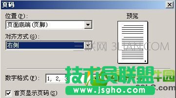wps怎么設(shè)置頁碼?WPS從指定頁開始設(shè)置頁碼方法2