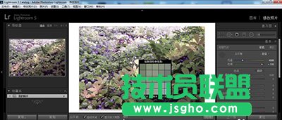 lightroom白平衡怎么調(diào)整？   三聯(lián)