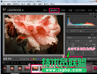 Lightroom怎么批量處理？  三聯(lián)