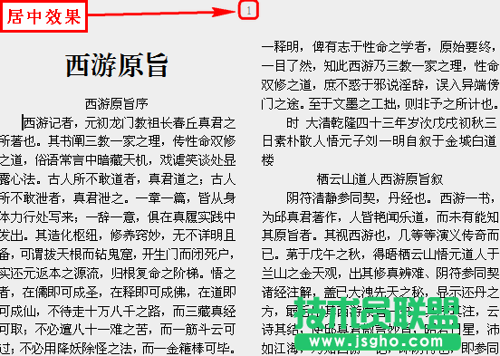 WPS文字頁(yè)碼設(shè)置教程