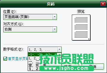 WPS文字頁(yè)碼設(shè)置教程