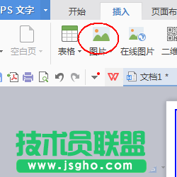 wps怎么設(shè)計一款簡約的簡歷?