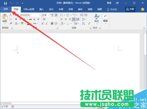 Word2016中添加開發(fā)工具選項卡到界面顯示的方法