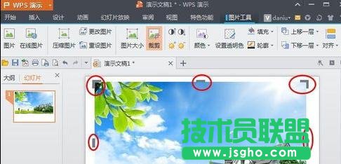 wps演示如何對圖片進行裁剪