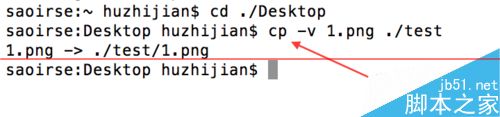 9條Linux簡單又實(shí)用的指令介紹