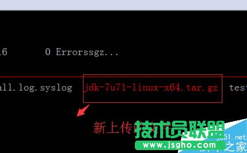 linux系統(tǒng)怎么用SecureCRT上傳和下載文件？