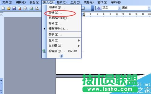 word文檔怎么標(biāo)注頁(yè)碼呢?    三聯(lián)
