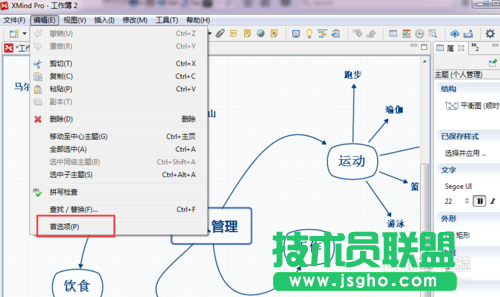 XMind思維導(dǎo)圖軟件界面語(yǔ)言怎么更改？ 三聯(lián)