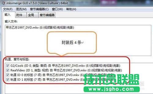 怎樣用MKVToolNix封裝后多出兩個軌道標(biāo)簽的問題的詳細(xì)解答