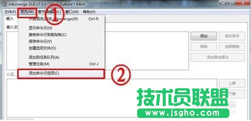 怎樣用MKVToolNix封裝后多出兩個軌道標(biāo)簽的問題的詳細(xì)解答
