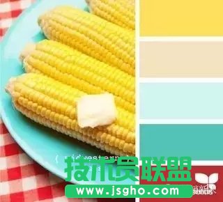 沒(méi)有設(shè)計(jì)基礎(chǔ)的新手如何做好PPT配色？