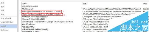 word中有兩個一樣MathType的按鈕怎么刪除?