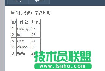 什么是linq技術？