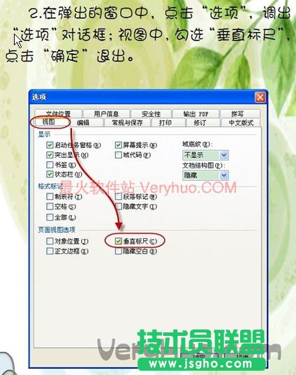 在彈出的窗口中，點(diǎn)擊‘選項’，調(diào)出‘選項’對話框，視圖中，勾選‘垂直標(biāo)尺’，點(diǎn)擊確定退出。