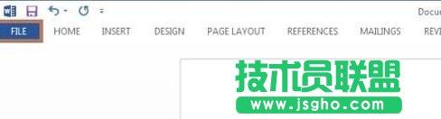 如何使用Word2013中新增的開發(fā)工具