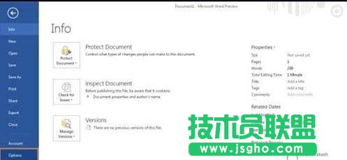 如何使用Word2013中新增的開發(fā)工具
