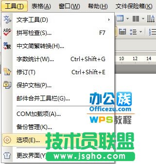 WPS文檔保密技巧，保護信息安全