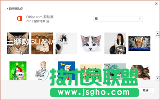 剪貼畫(huà)網(wǎng)站上的貓圖片示例