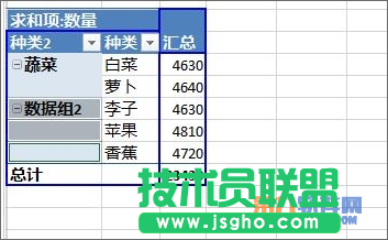 Excel教程 怎樣設置數據透視表字段分組方法
