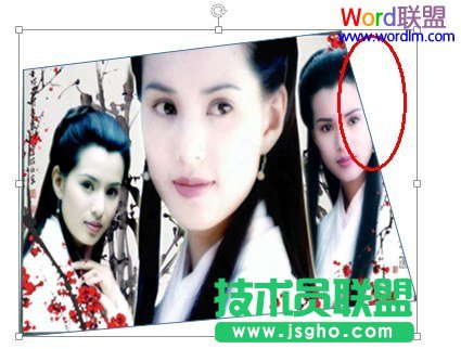 PowerPoint2010中如何任意編輯圖片的頂點