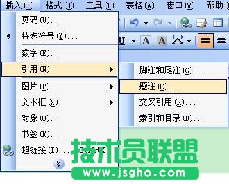 插入題注