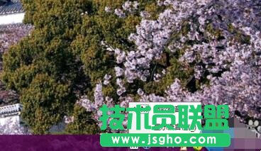 win10,輸入法,語(yǔ)言欄添加輸入法,語(yǔ)言欄怎么添加輸入法
