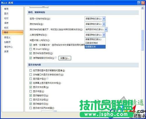 Word2010過濾網(wǎng)頁(yè)上的超鏈接和圖片方法